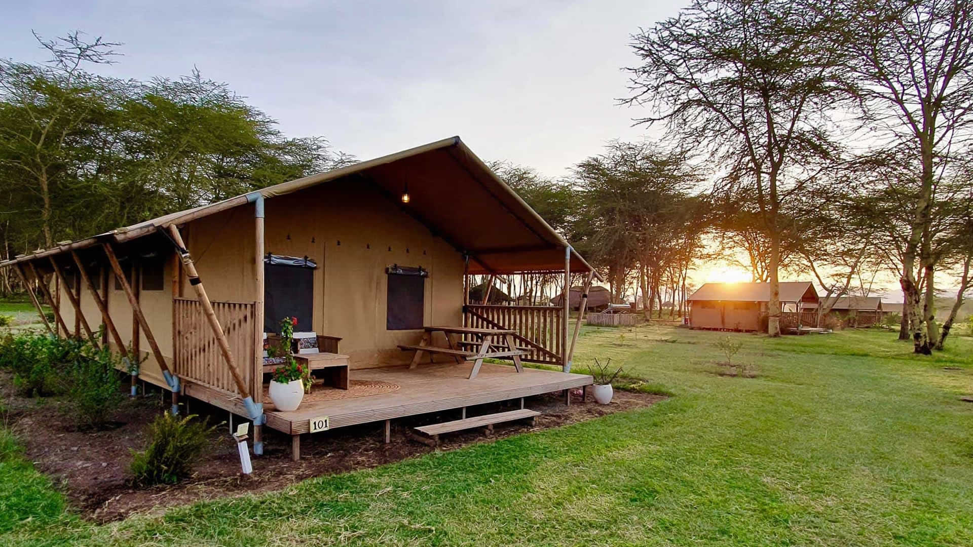 africa safari lake manyara