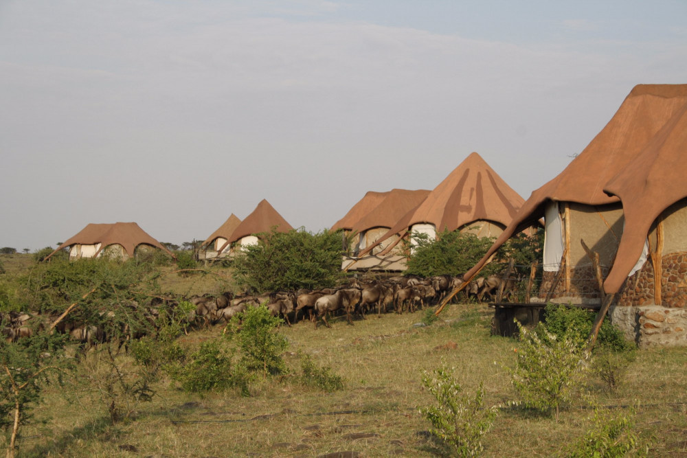 Amani Mara lodge Amani Mara Lodge
