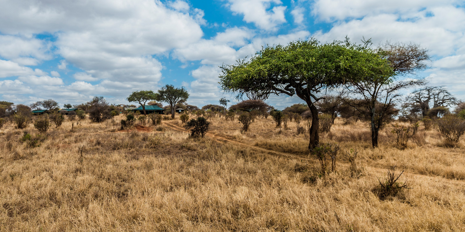 Ang'ata Tarangire Camp