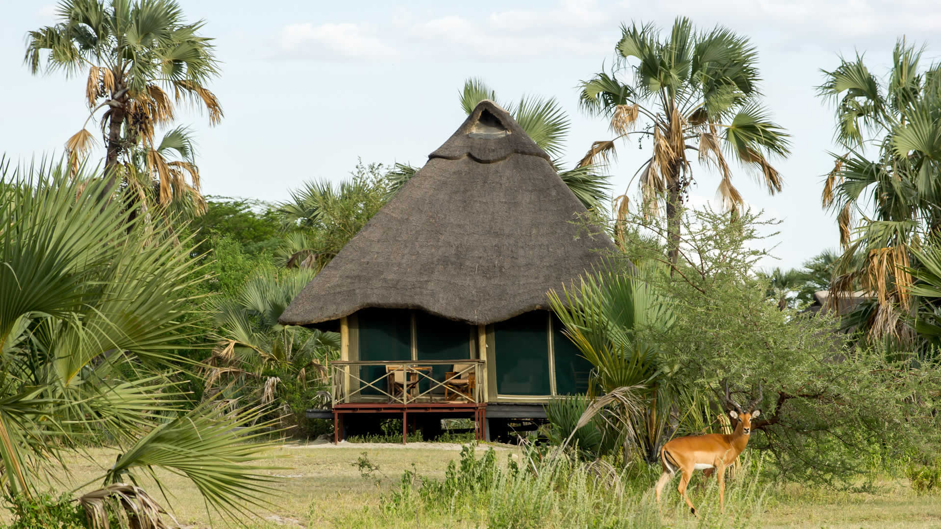 maramboi tented camp maramboi tented camp