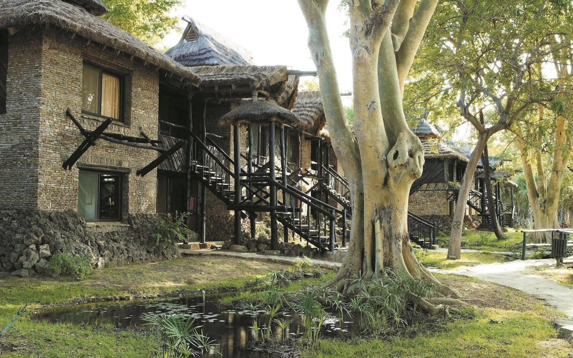 sarova shaba game lodge