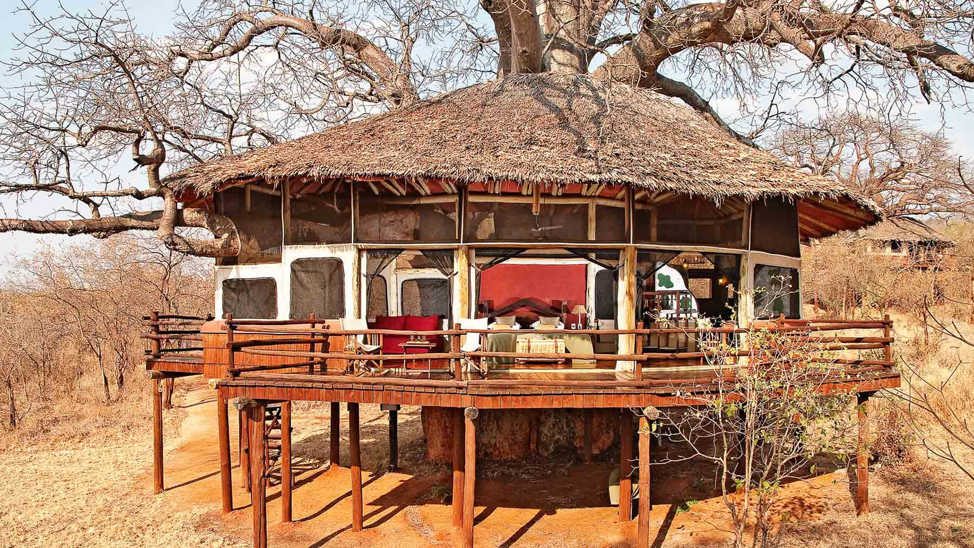 tarangire treetops lodge