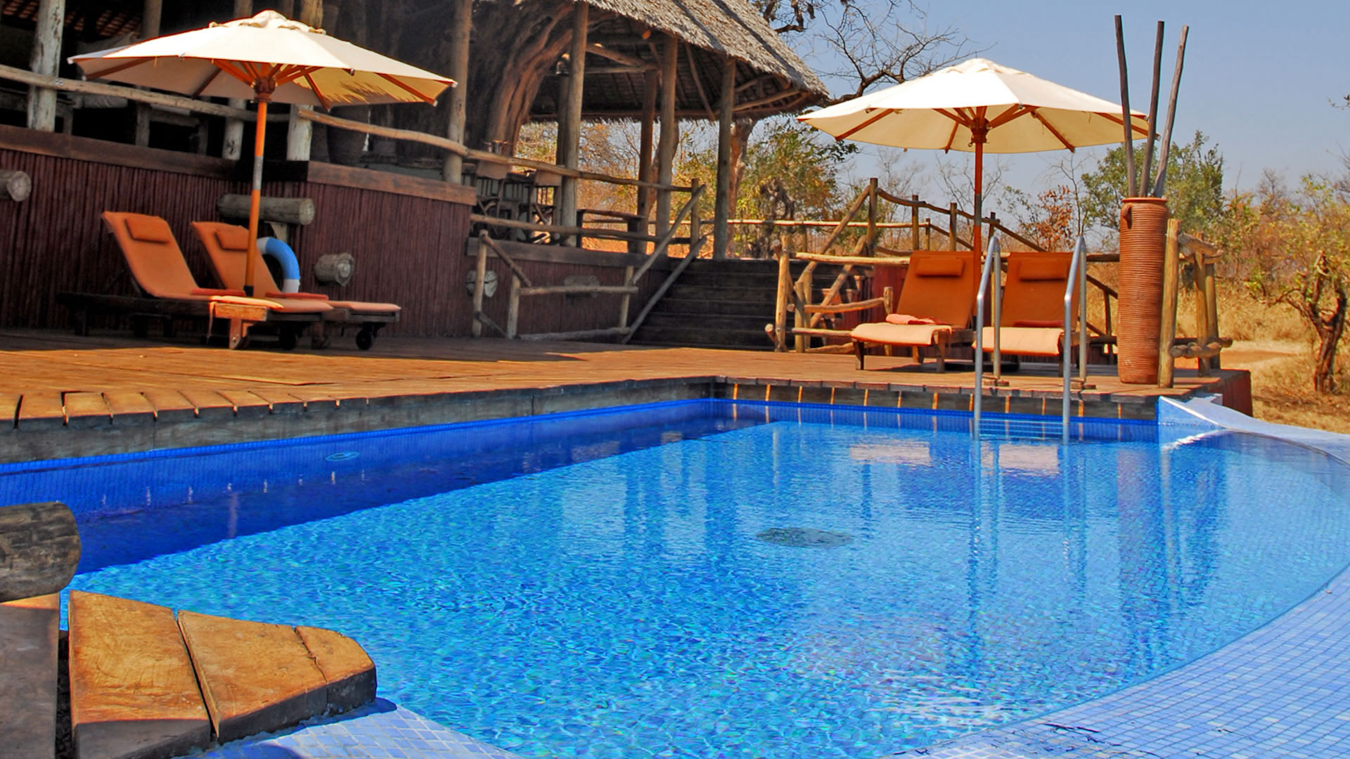 tarangire treetops lodge