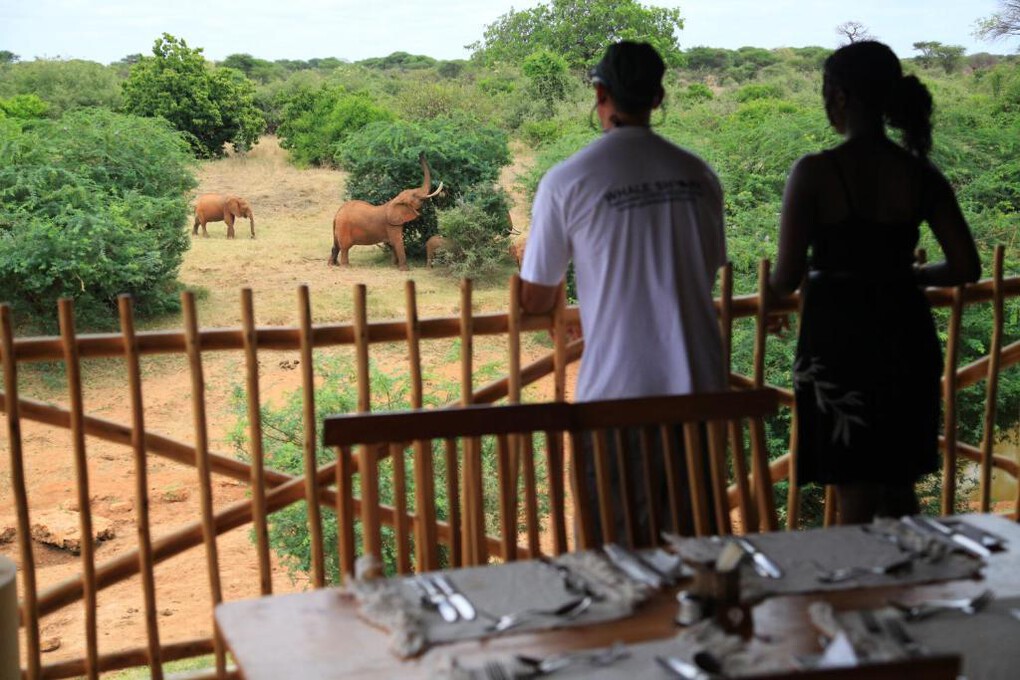 Tsavo East Manyatta Luxury Tented camp