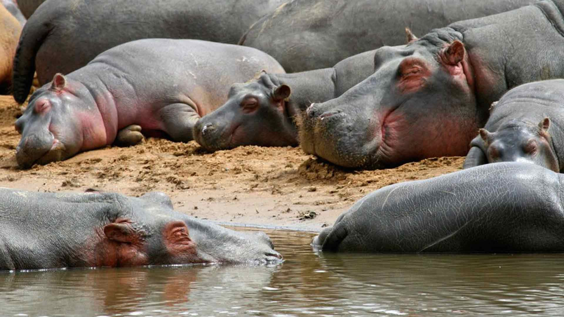 katavi national park katavi national park