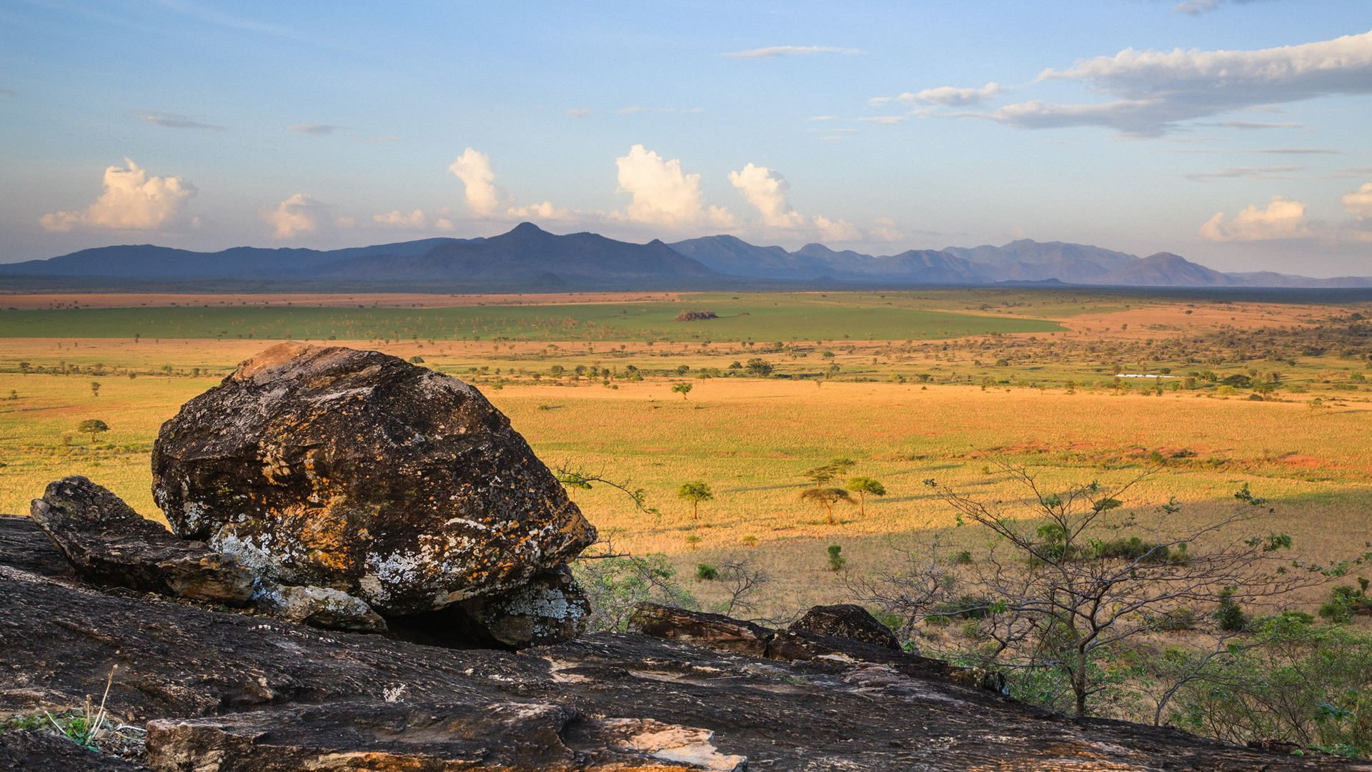 kidepo valley national park kidepo valley national park