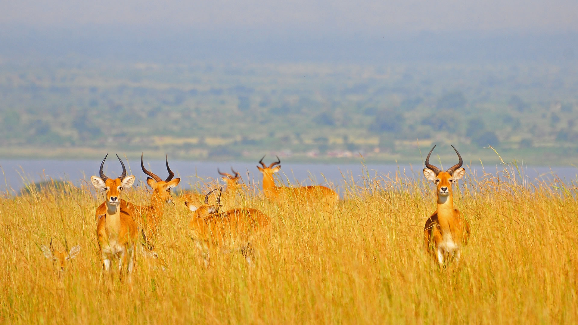 lake manyara national park lake manyara national park