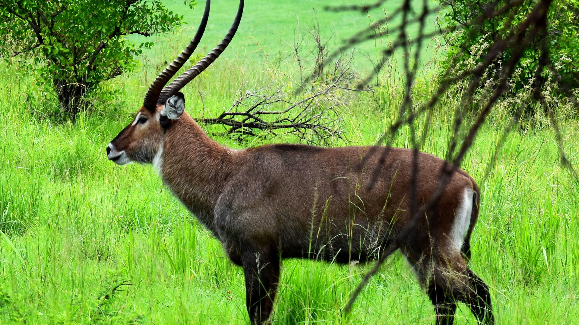 lake mburo national park