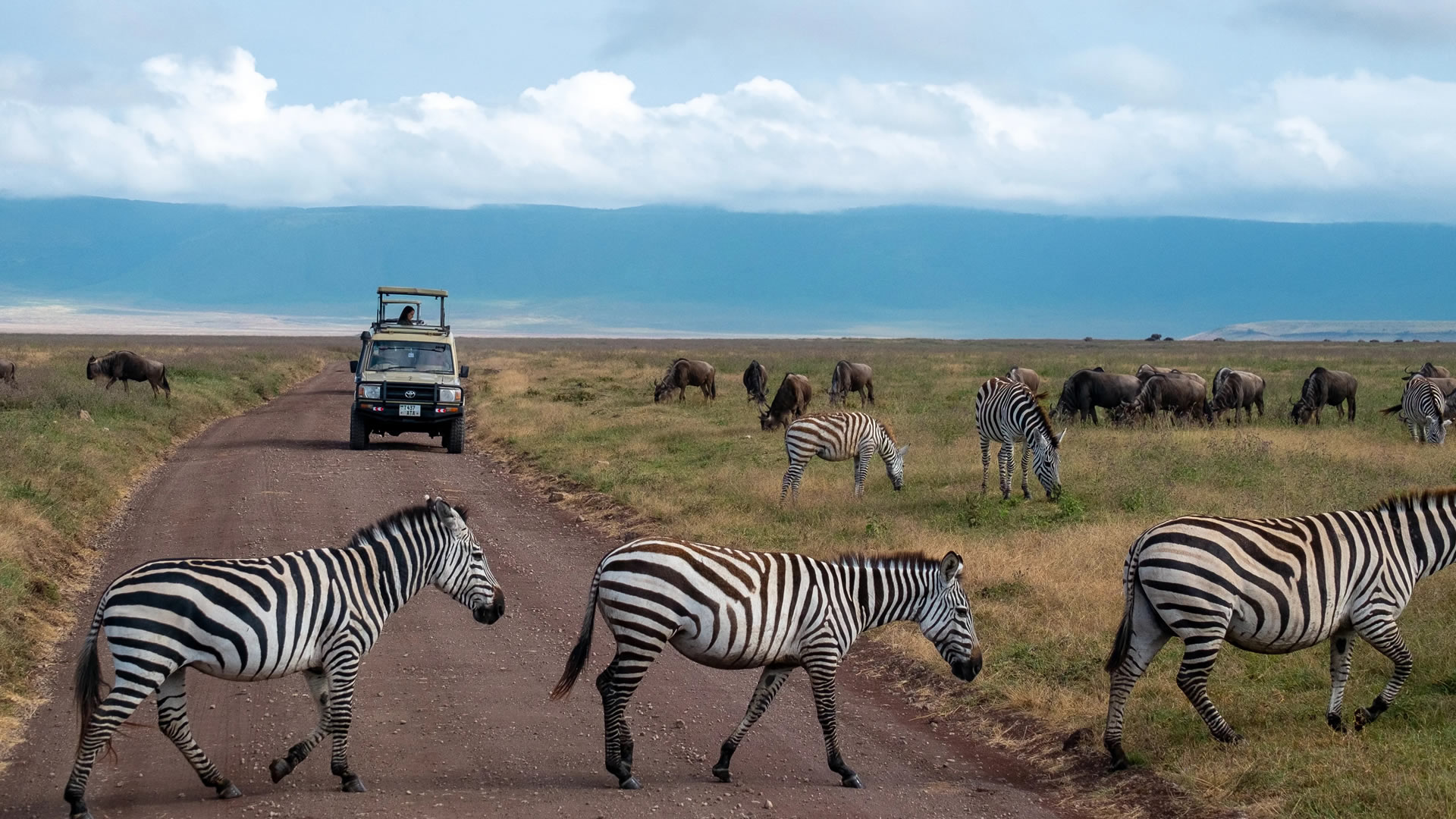 ngorongoro crater