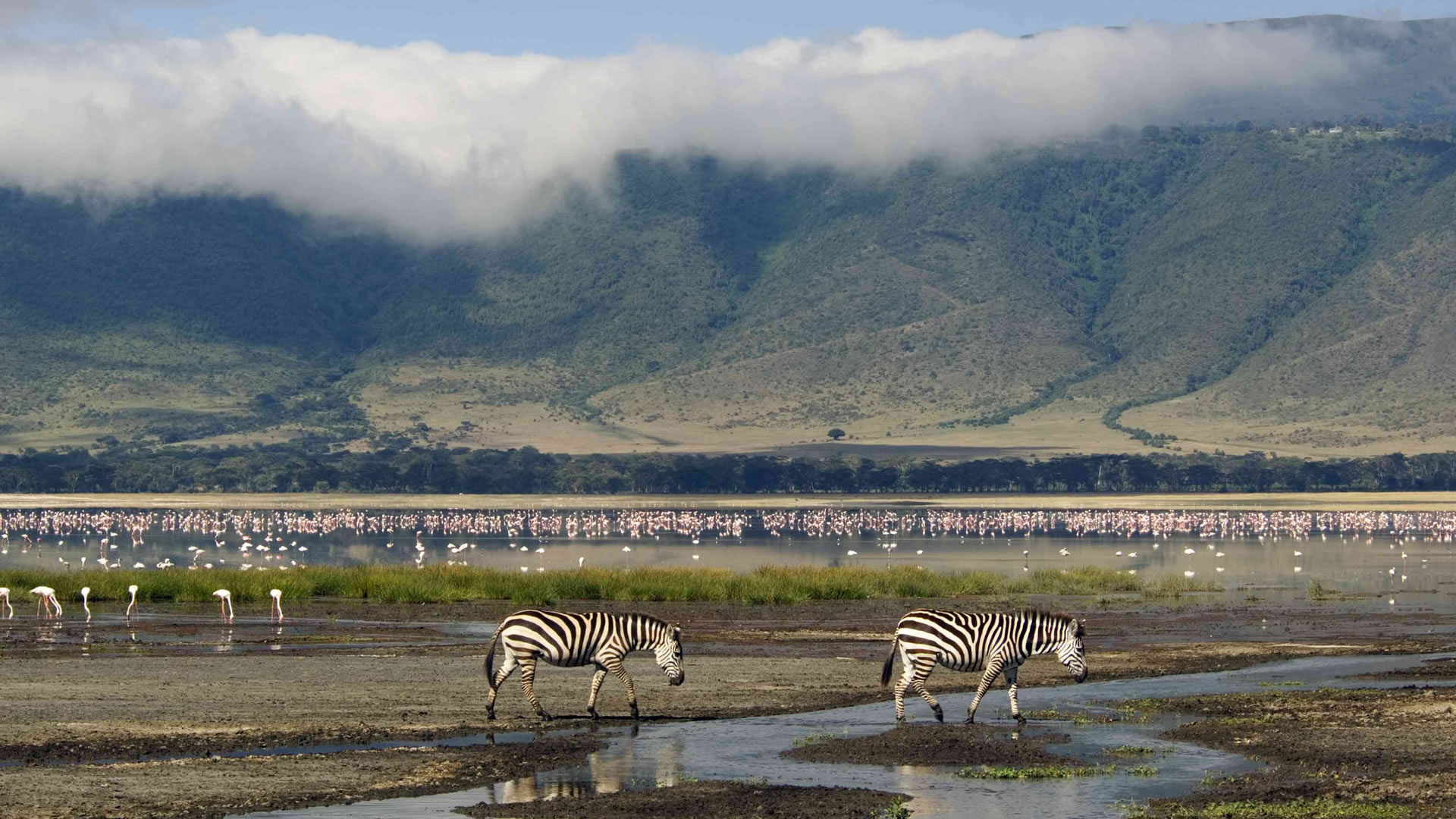 ngorongoro crater
