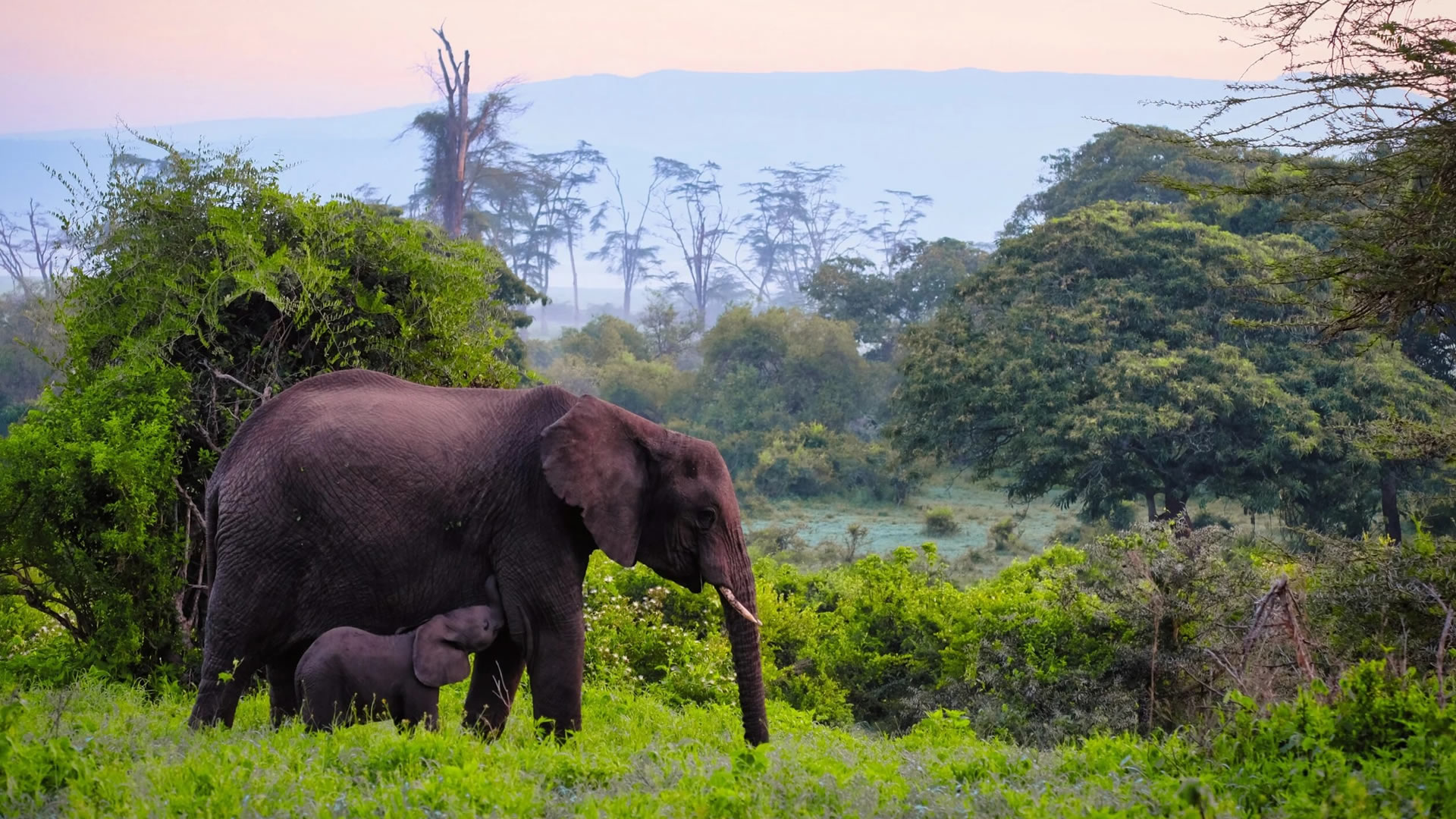 ngorongoro crater