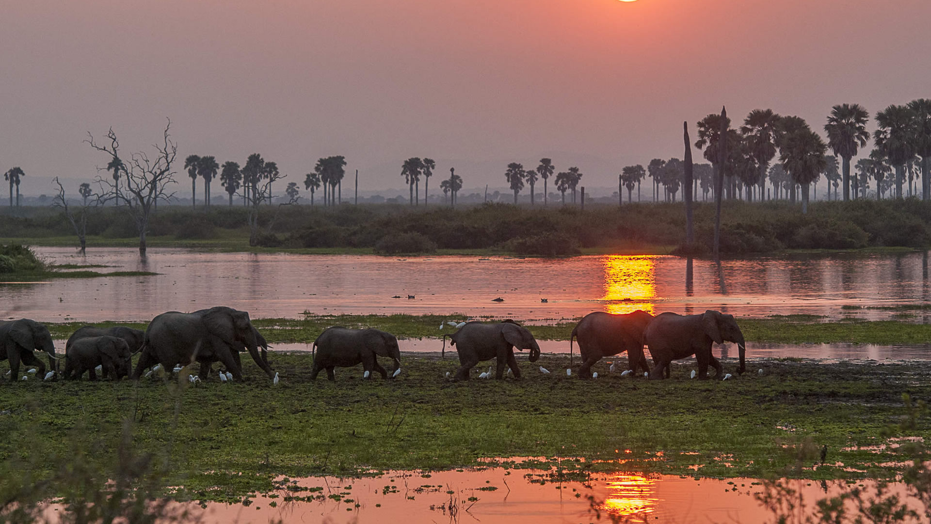 nyerere national park nyerere national park