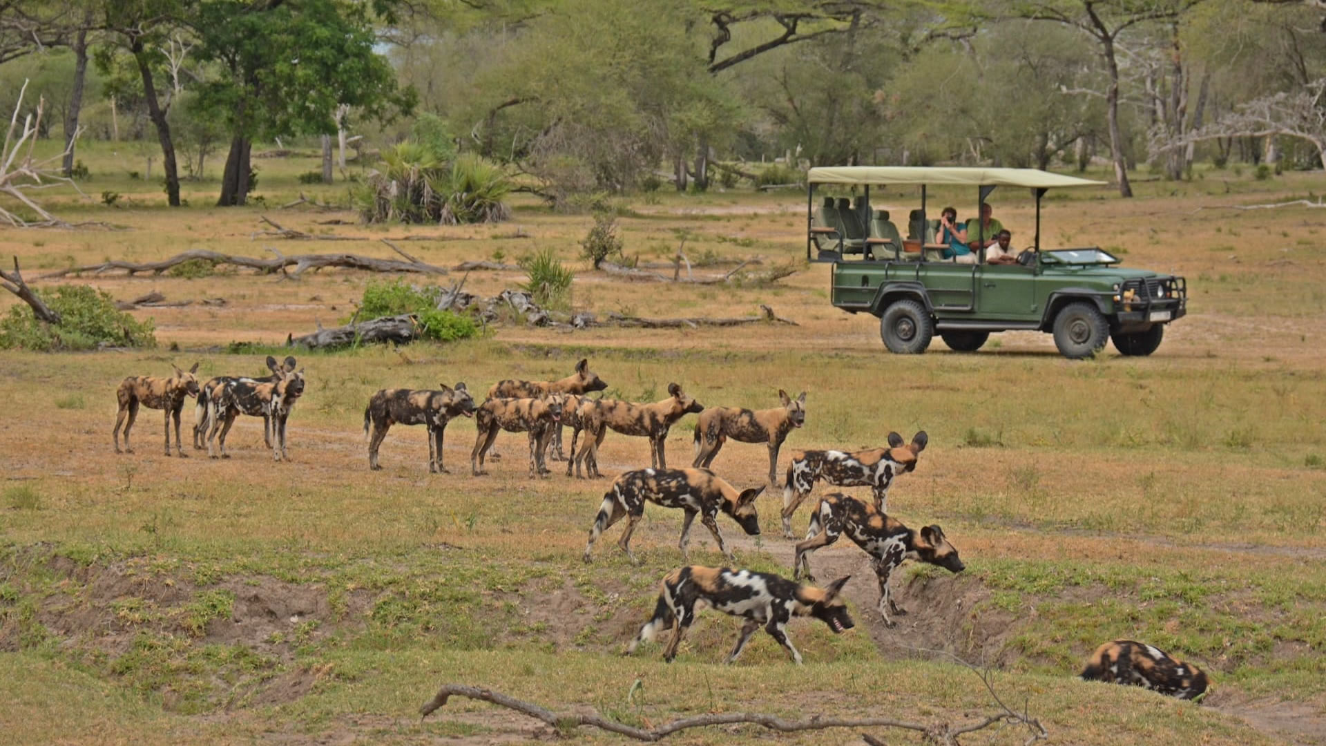 nyerere national park nyerere national park