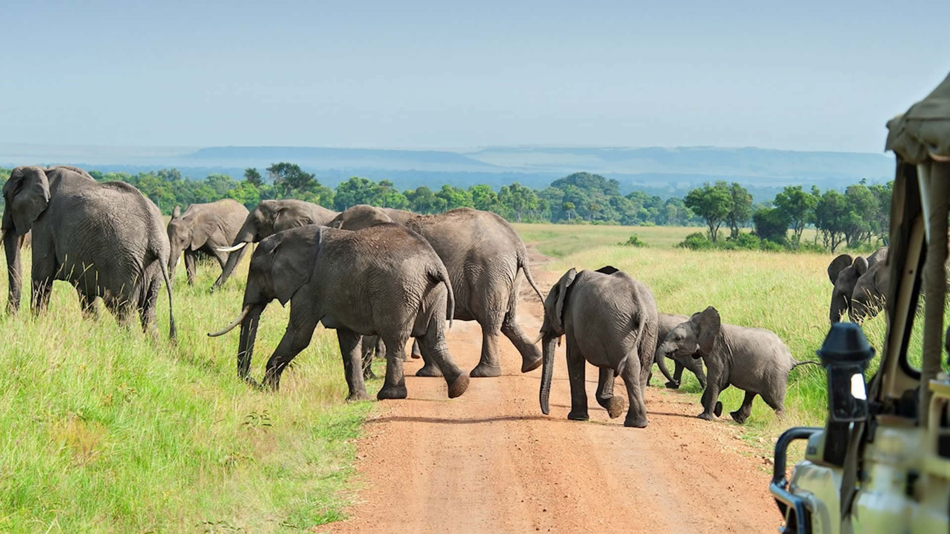 nyerere national park nyerere national park