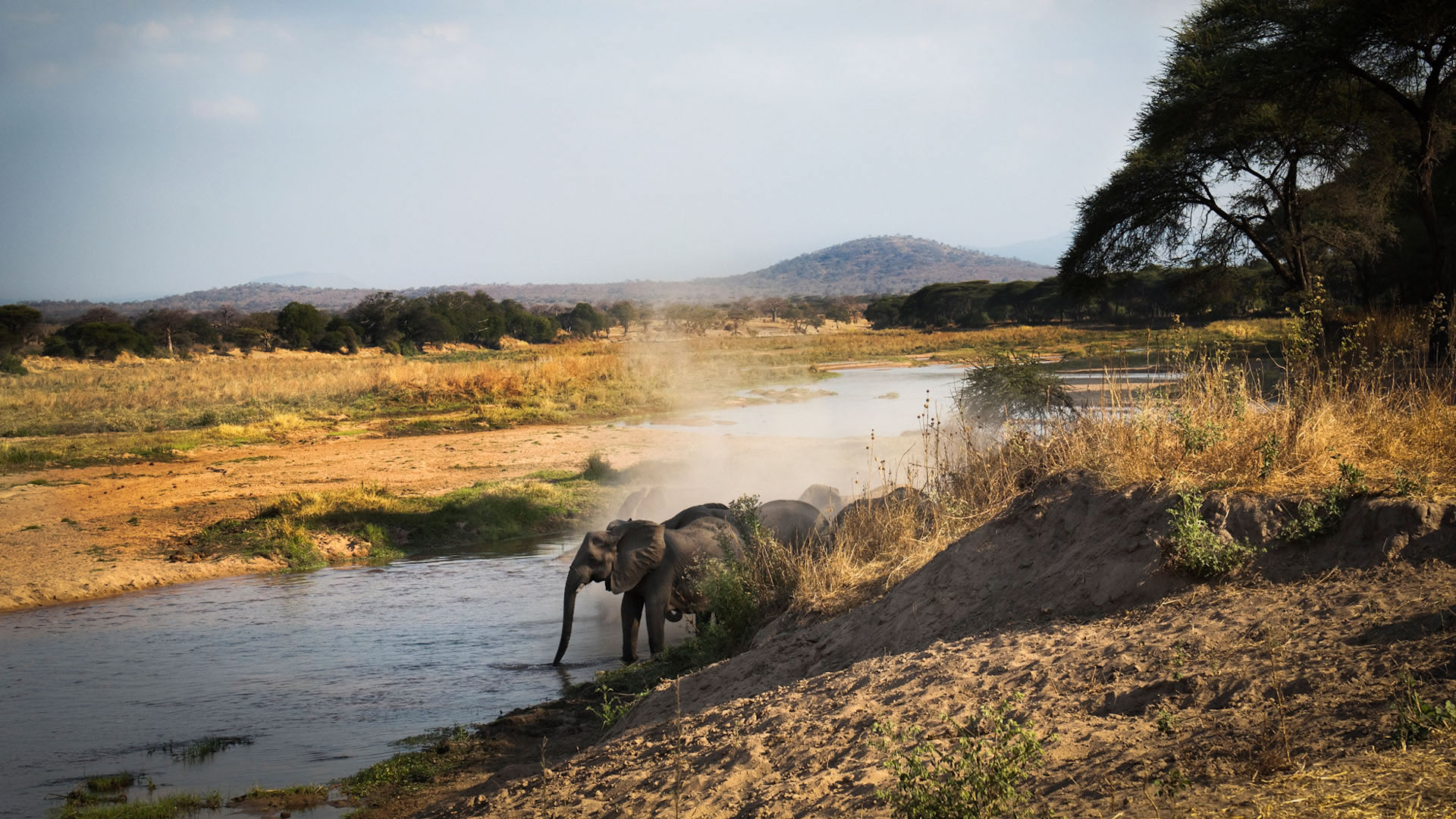 ruaha national park