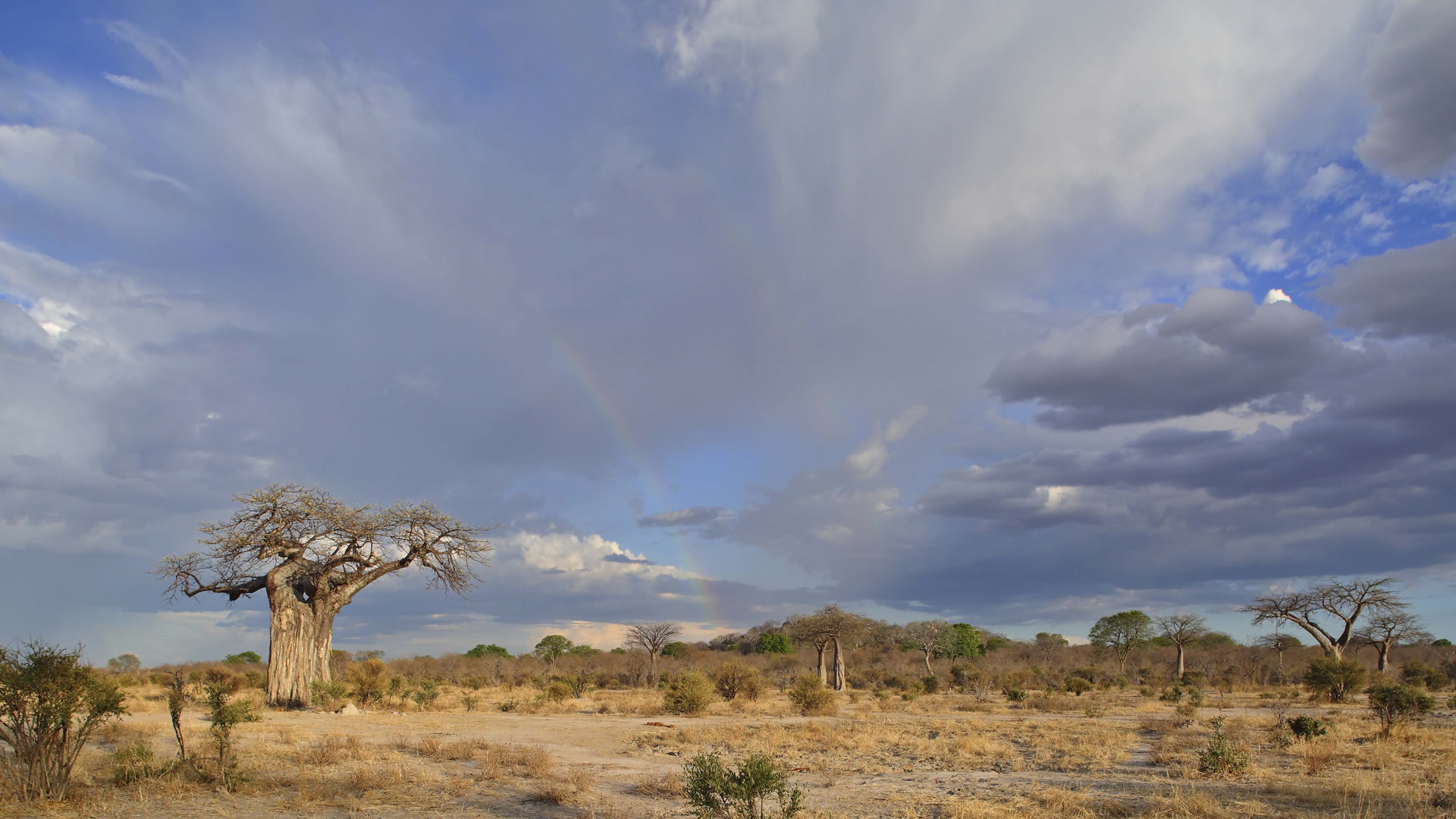 ruaha national park
