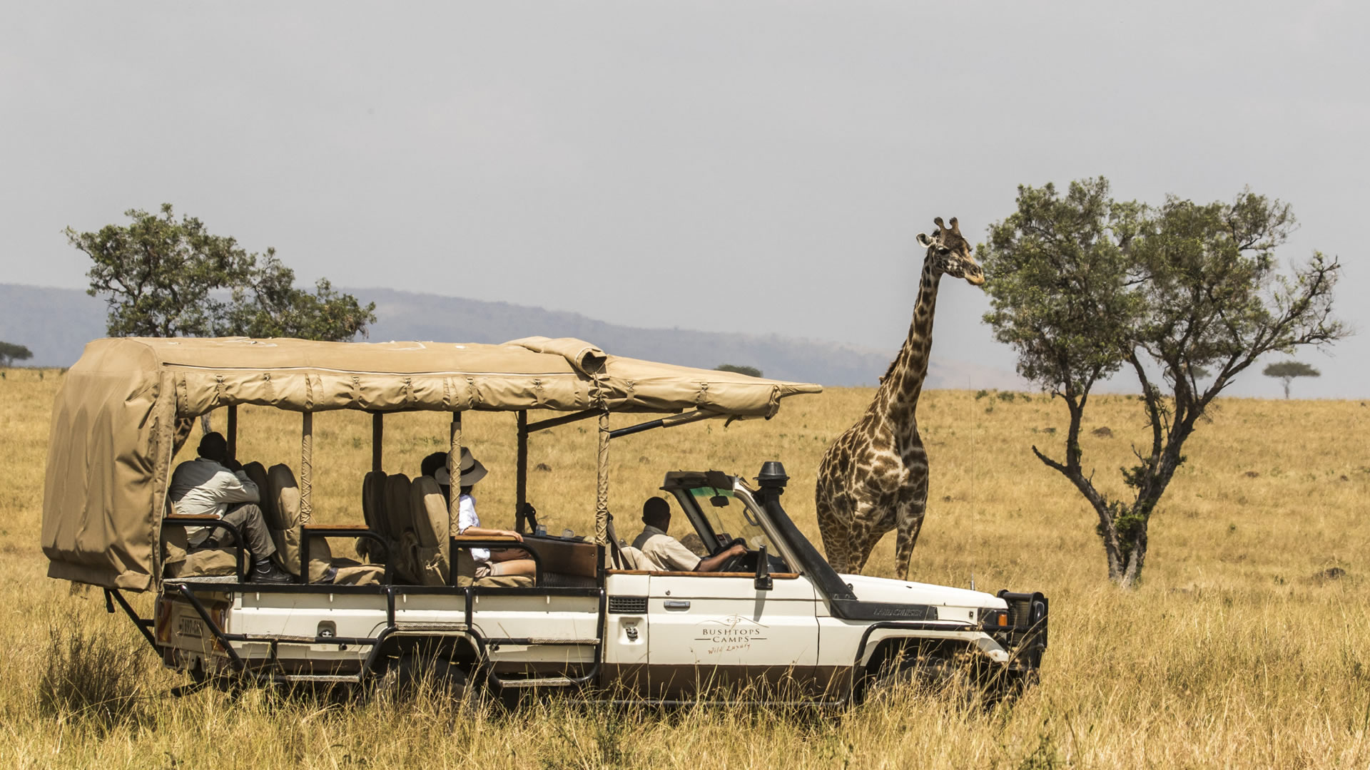serengeti national park