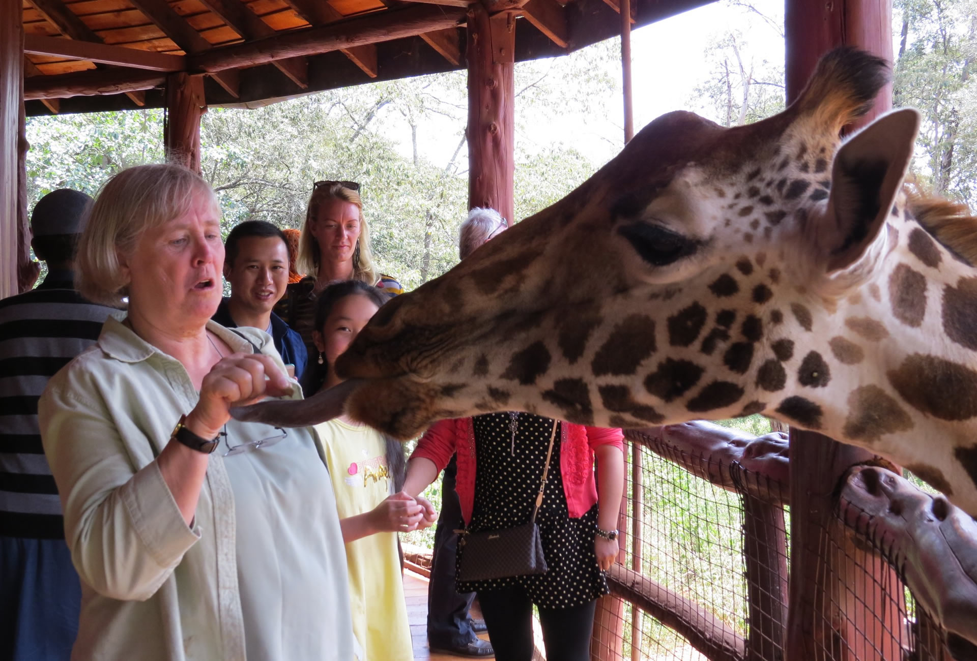 karen blixen, kazuri beads & giraffe-center