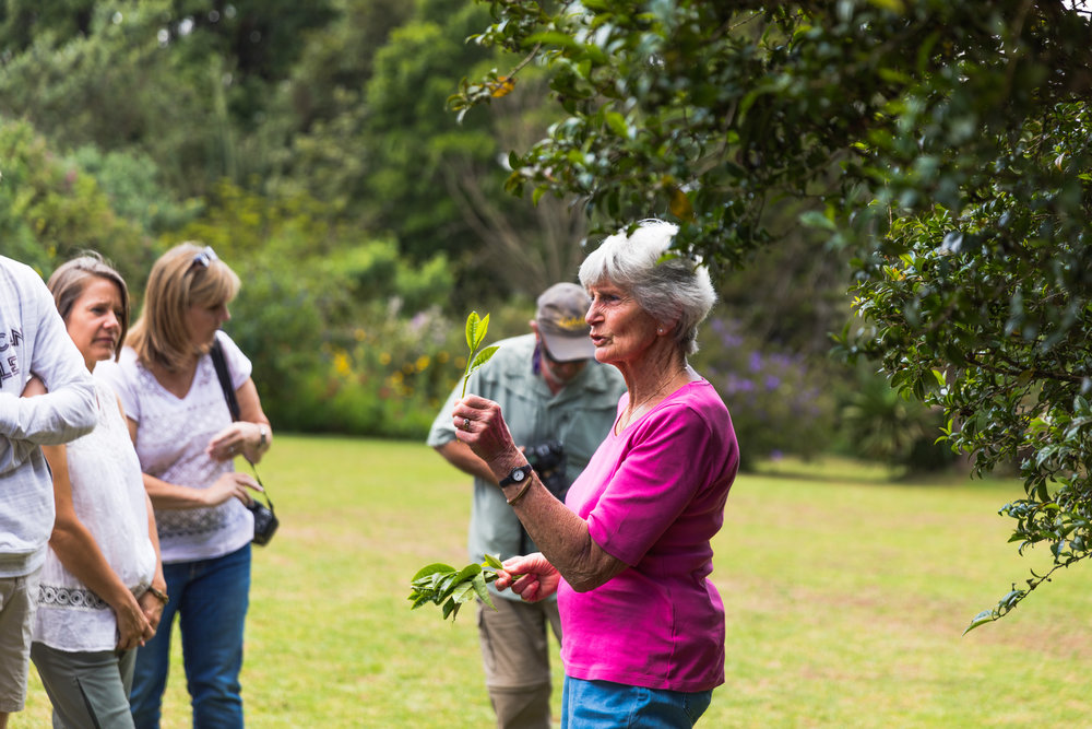 kiambethu tea farm visit