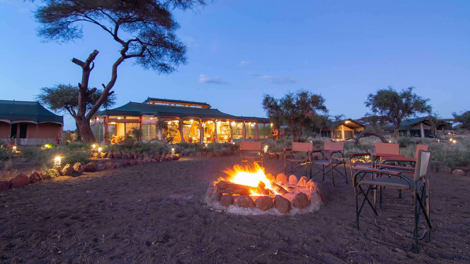 4 days ambo-tsavo wildlife safari