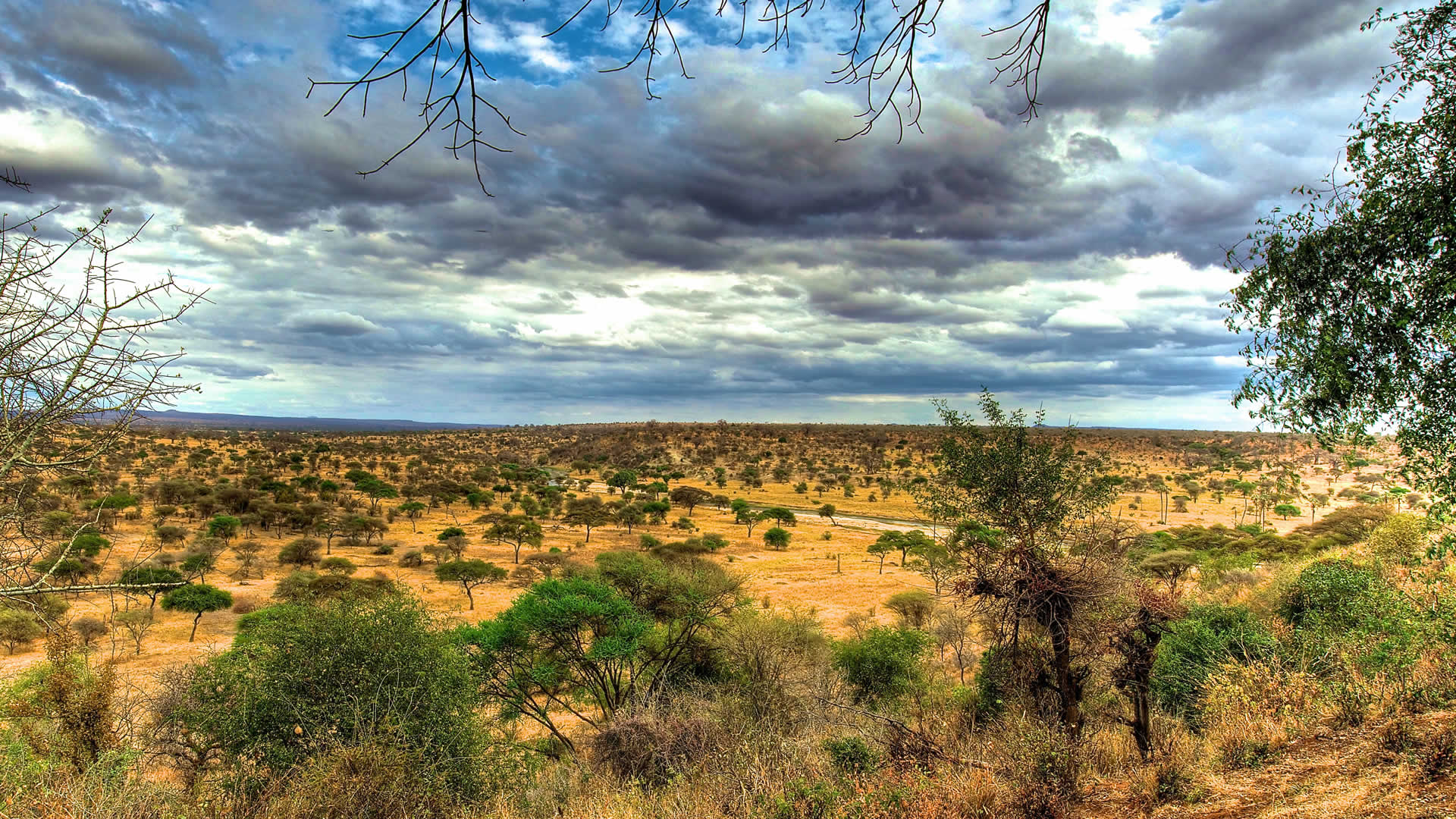 6 days natural tanzania safari expedition