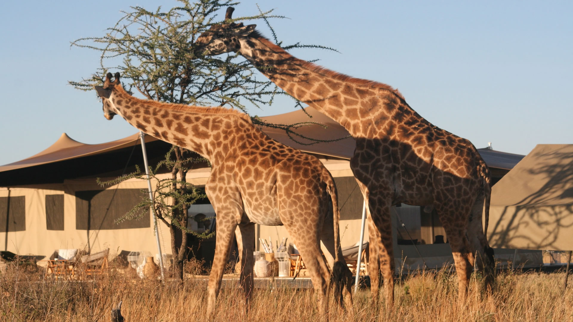 7 days best of northern tanzania