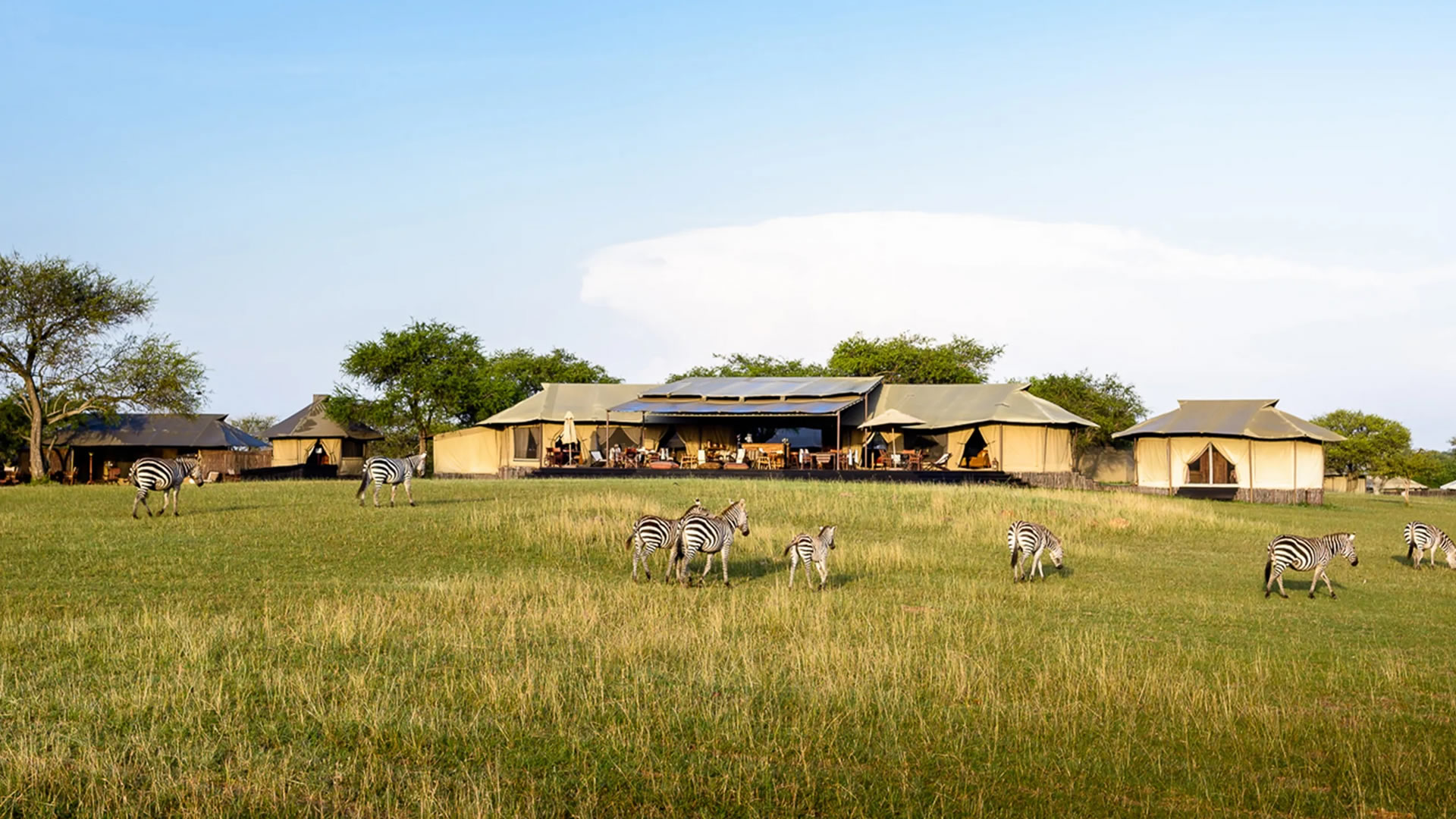 7 days singita experience