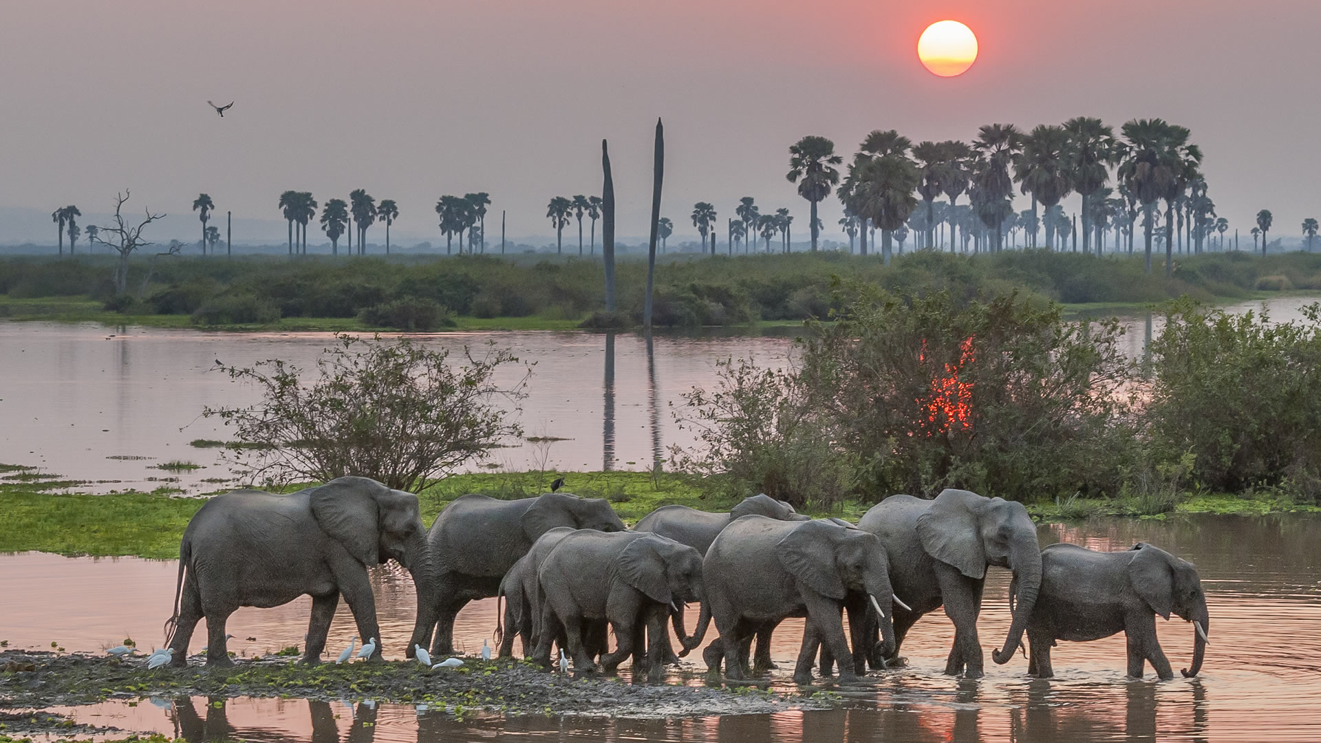 8 days best of southern tanzania